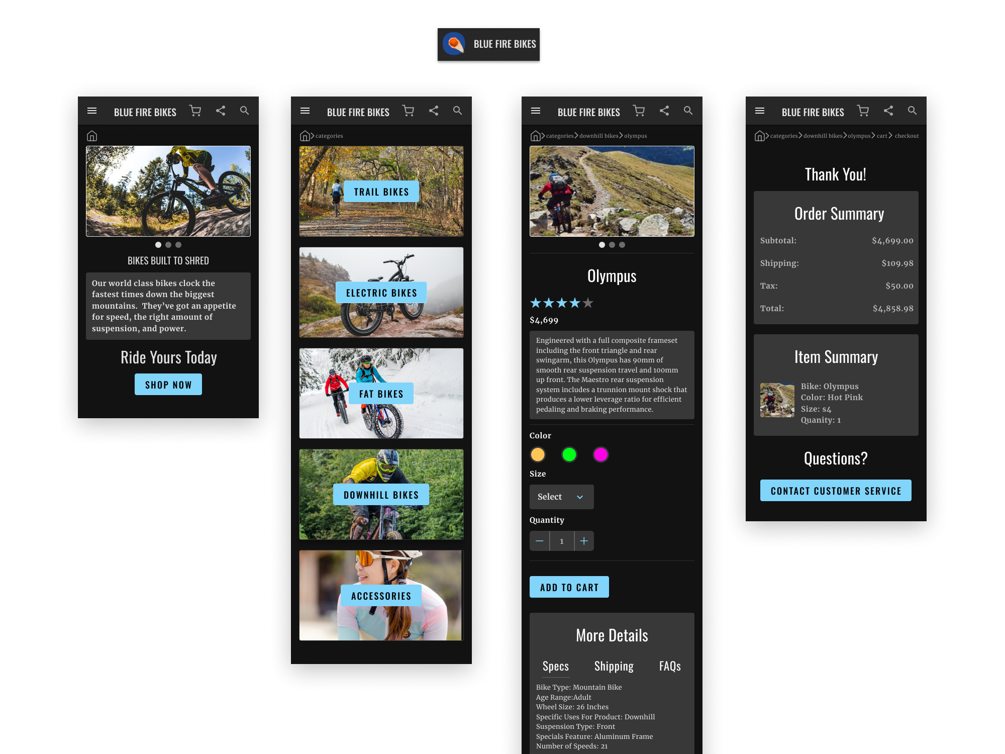 Blue Fire Bikes Case Study 1